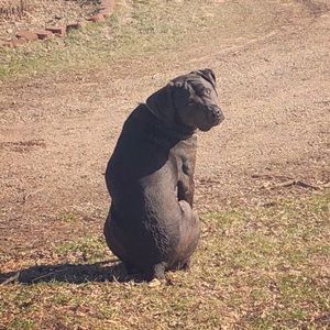 Meet your Posher, Leanne